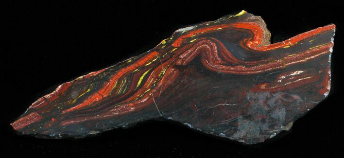 Polished Tiger Iron Stromatolite - ( Billion Years) #62709